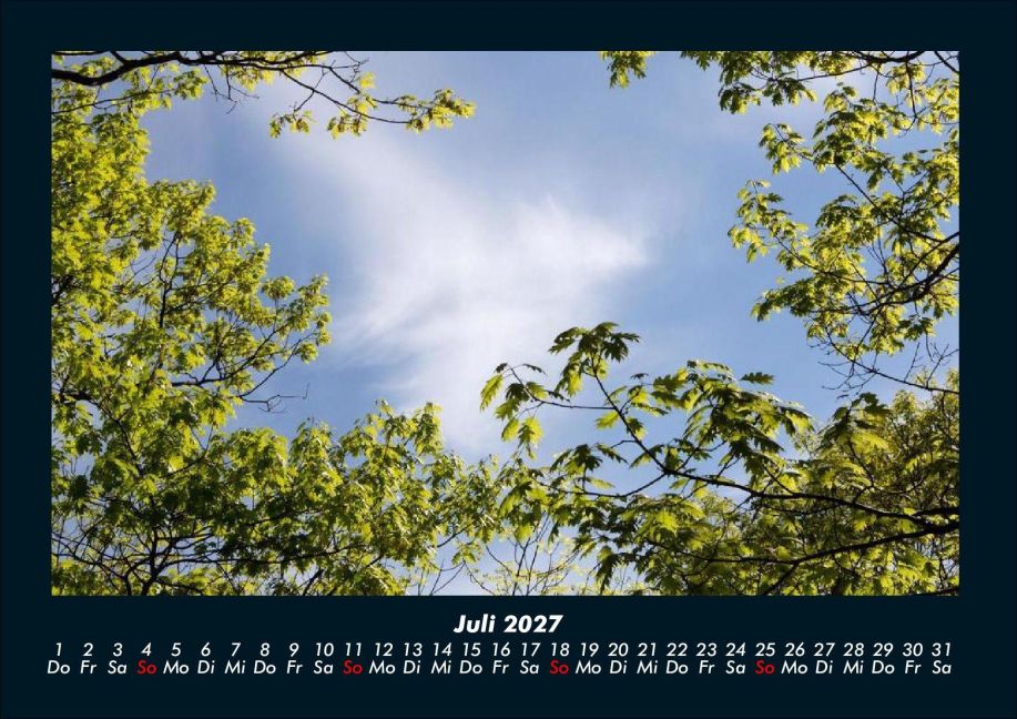 InsideView 11