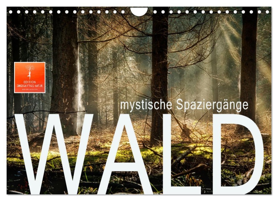 Wald - mystische Spaziergänge (Wandkalender 2026 DIN A4 quer), CALVENDO Monatskalender - Peter Roder