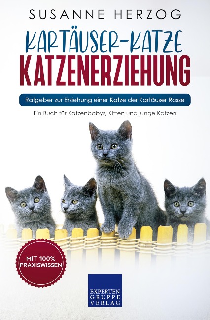 Kartäuser-Katze Katzenerziehung - Ratgeber zur Erziehung einer Katze der Kartäuser Rasse - Susanne Herzog