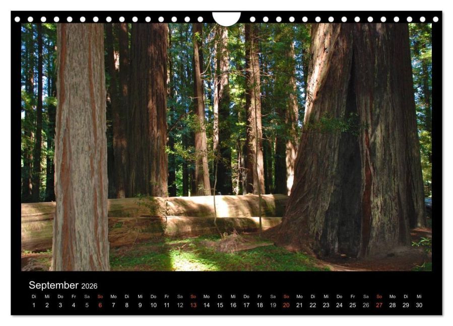 InsideView 14