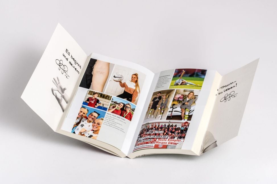 InsideView 6