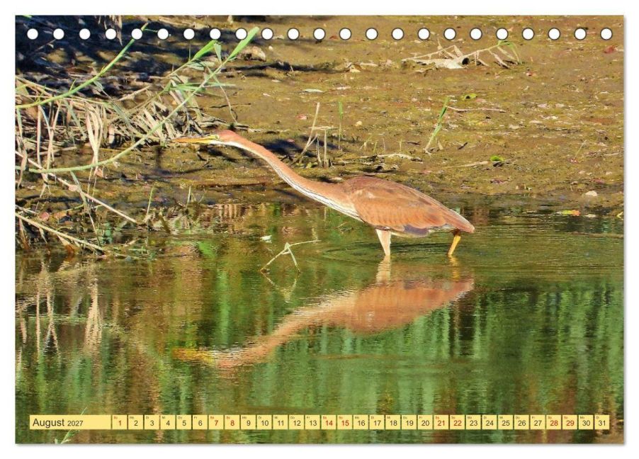InsideView 13