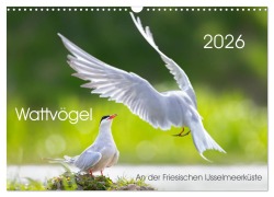 Cover-Bild zum Titel 'Wattvögel an der Friesischen IJsselmeerküste (Wandkalender 2026 DIN A3 quer), CALVENDO Monatskalender' von 'Thomas Will'