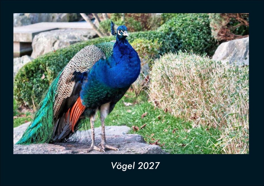 Vögel 2027 Fotokalender DIN A4 - Tobias Schmitt, Kevin Heber