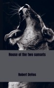 Cover-Bild zum Titel 'House of the two sunsets' von 'Robert DeVos'