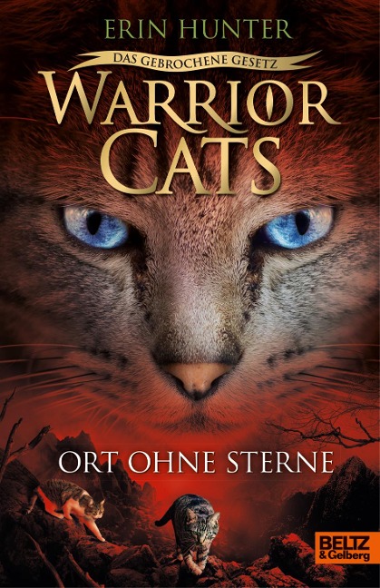 Warrior Cats - Das gebrochene Gesetz. Ort ohne Sterne - Erin Hunter