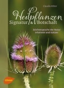 Cover-Bild zum Titel 'Heilpflanzen. Signatur und Botschaft' von 'Claudia Ritter'
