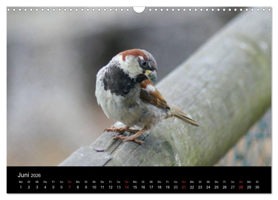 InsideView 11