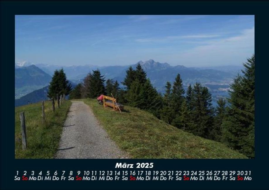 InsideView 7