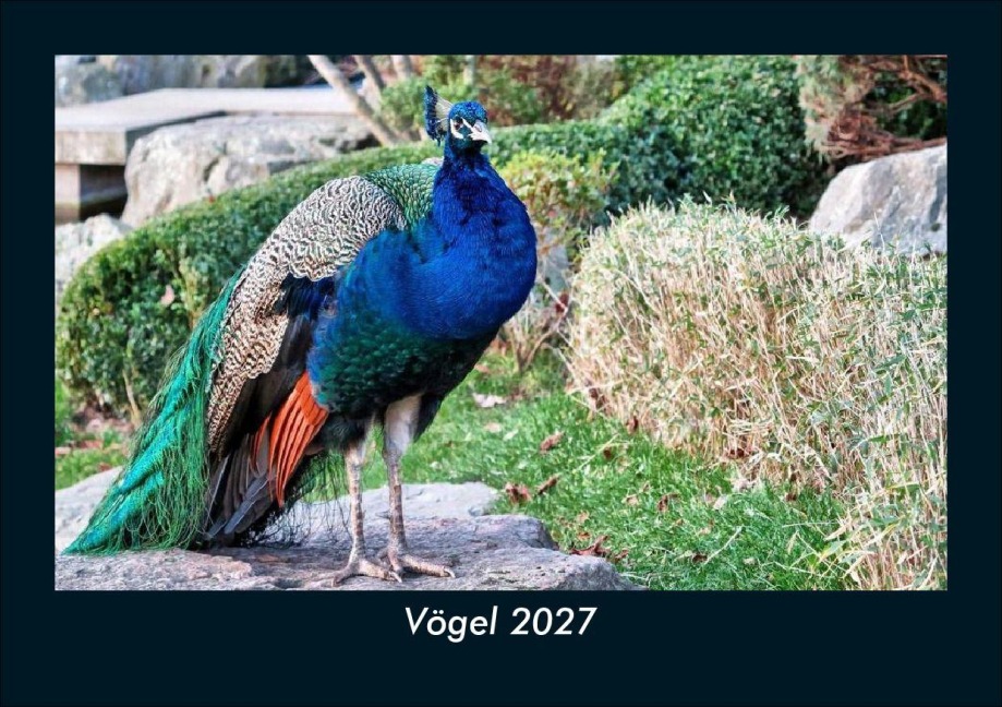 Vögel 2027 Fotokalender DIN A5 - Tobias Schmitt, Kevin Heber
