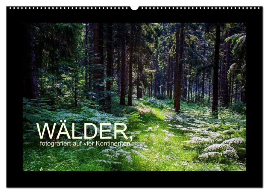 Wälder, fotografiert auf vier Kontinenten (Wandkalender 2026 DIN A2 quer), CALVENDO Monatskalender - Richard Walliser