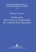 Cover-Bild zum Titel 'Abriß einer historischen Grammatik der semitischen Sprachen' von 'Reinhard Stempel'