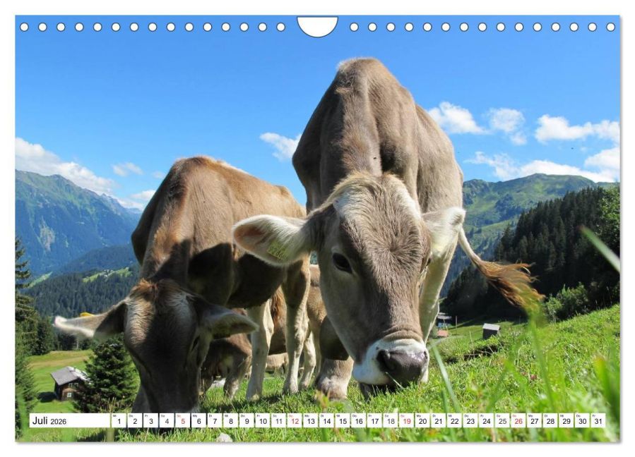 InsideView 12