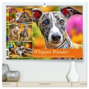 Whippet Wunder. Grazile Hunde mit sanfter Kraft und feiner Seele (hochwertiger Premium Wandkalender 2026 DIN A2 quer), Kunstdruck in Hochglanz - Rose Hurley