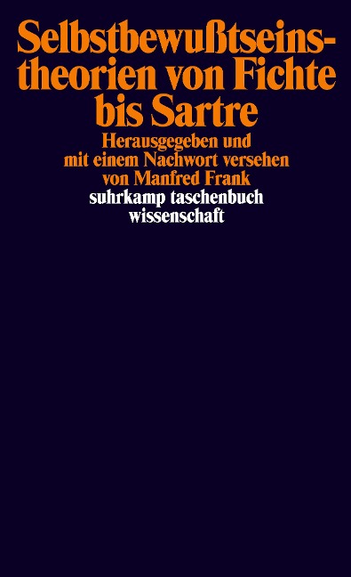 Selbstbewußtseinstheorien von Fichte bis Sartre - 