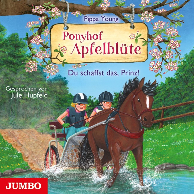 Ponyhof Apfelblüte. Du schaffst das, Prinz! [Band 19] - Pippa Young