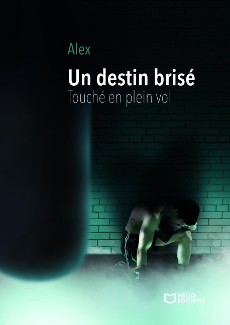 Un destin brisé - Touché en plein vol - Alex