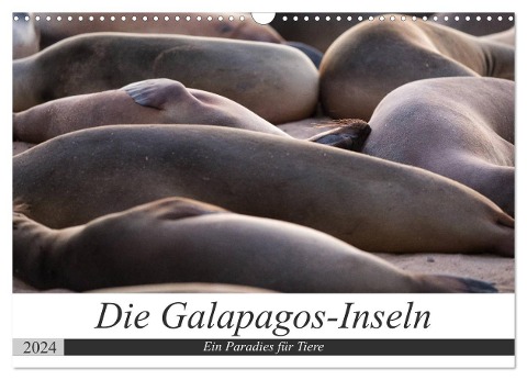 Galapagos-Inseln - Ein Paradies für Tiere (Wandkalender 2024 DIN A3 quer), CALVENDO Monatskalender - Jeanette Dobrindt