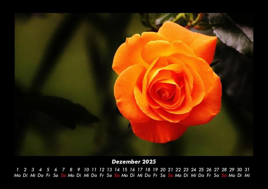 InsideView 4
