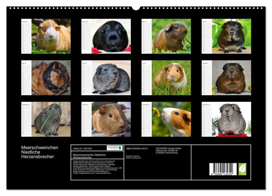 InsideView 4