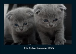 Cover-Bild zum Titel 'Für Katzenfreunde 2025 Fotokalender DIN A4' von 'Tobias Becker'