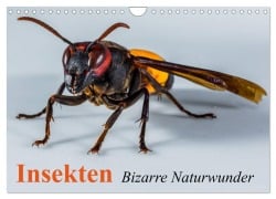 Cover-Bild zum Titel 'Insekten ¿ Bizarre Naturwunder (Wandkalender 2026 DIN A4 quer), CALVENDO Monatskalender' von 'Elisabeth Stanzer'