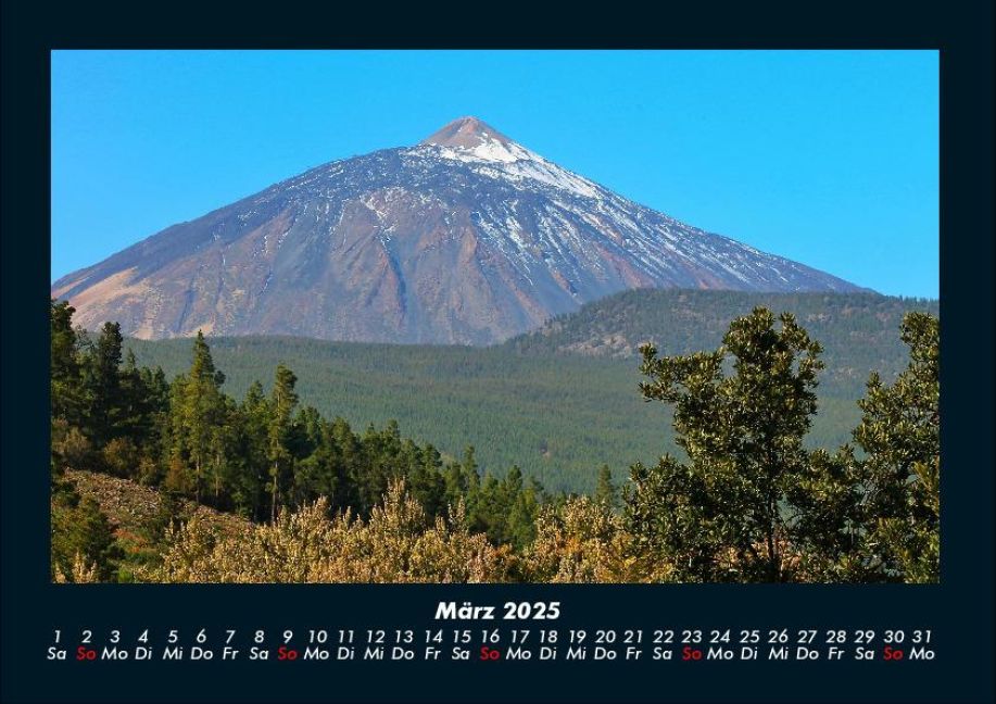 InsideView 7