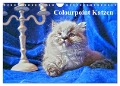 Colourpoint Katzen (Wandkalender 2024 DIN A4 quer), CALVENDO Monatskalender - Sylvia Säume