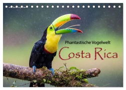 Cover-Bild zum Titel 'Phantastische Vogelwelt Costa Rica (Tischkalender 2026 DIN A5 quer), CALVENDO Monatskalender' von 'Jens Benninghofen'