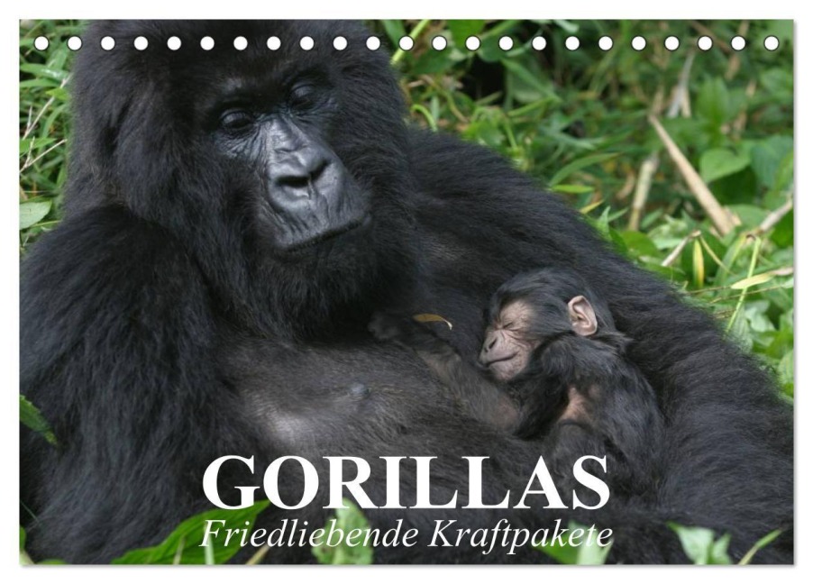 Gorillas. Friedliebende Kraftpakete (Tischkalender 2026 DIN A5 quer), CALVENDO Monatskalender - Elisabeth Stanzer