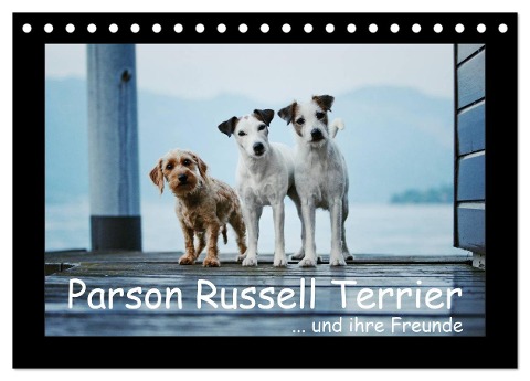 Parson Russell Terrier (Tischkalender 2024 DIN A5 quer), CALVENDO Monatskalender - Kathrin Köntopp