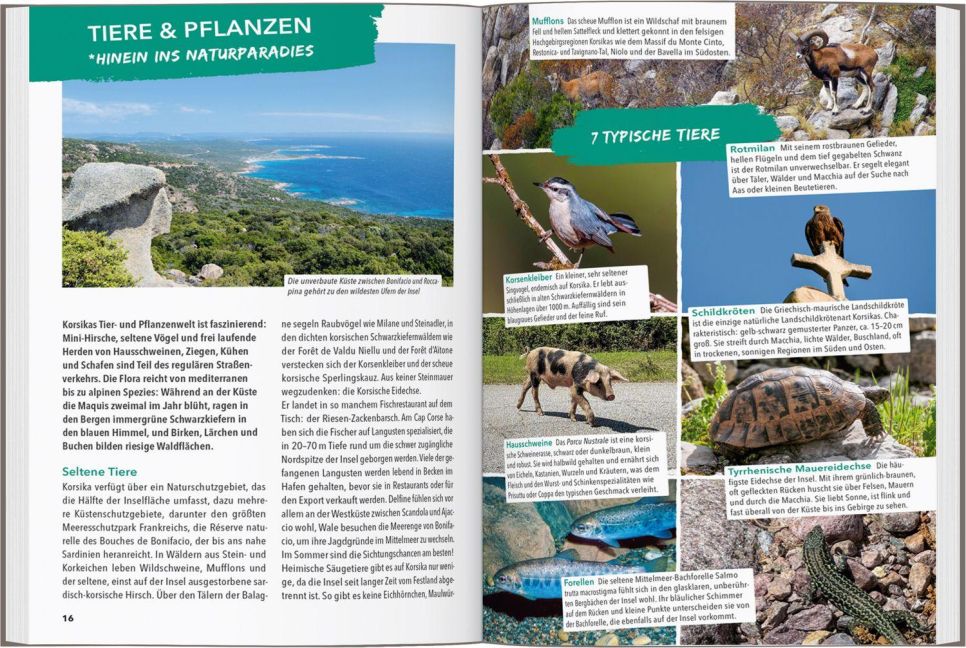 InsideView 7
