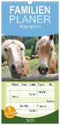 Familienplaner 2025 - Alpenpferde mit 5 Spalten (Wandkalender, 21 x 45 cm) CALVENDO - Katrin Lantzsch
