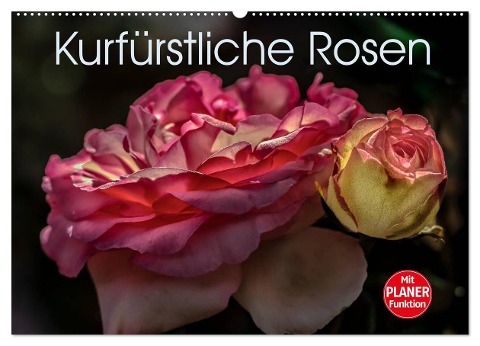 Kurfürstliche Rosen Eltville am Rhein (Wandkalender 2024 DIN A2 quer), CALVENDO Monatskalender - Dieter Meyer