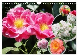 Cover-Bild zum Titel 'Rosensommer (Wandkalender 2026 DIN A4 quer), CALVENDO Monatskalender' von 'Gisela Kruse'