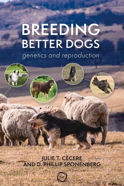 Breeding Better Dogs - D Phillip Sponenberg, Julie T Cecere