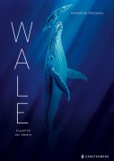 Wale - Amandine Delaunay