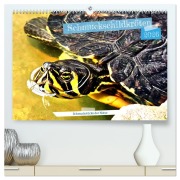 Cover-Bild zum Titel 'Schmuckschildkröten - Schmuckstücke der Natur (hochwertiger Premium Wandkalender 2026 DIN A2 quer), Kunstdruck in Hochglanz' von 'Henning von Löwis of Menar'