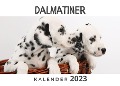 Dalmatiner - Bibi Hübsch