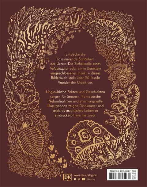 InsideView 10