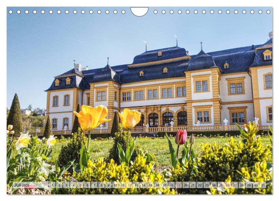 InsideView 12