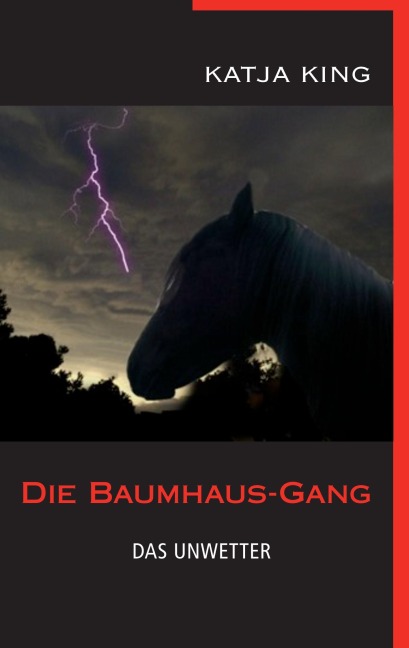 Die Baumhaus-Gang - Das Unwetter - Katja King Die Baumhaus-Gang - Das Unwetter - Katja King