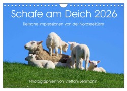 Cover-Bild zum Titel 'Schafe am Deich 2026. Tierische Impressionen von der Nordseeküste (Wandkalender 2026 DIN A4 quer), CALVENDO Monatskalender' von 'Steffani Lehmann'