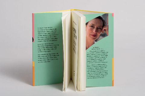 InsideView 2