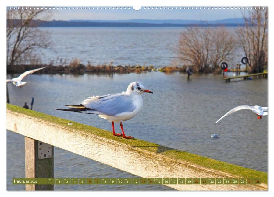 InsideView 6