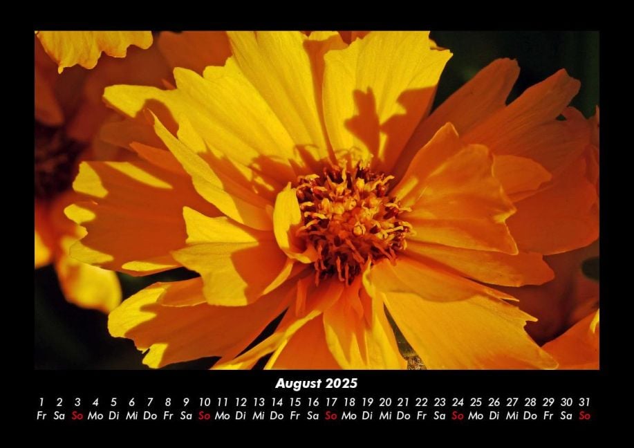 InsideView 12