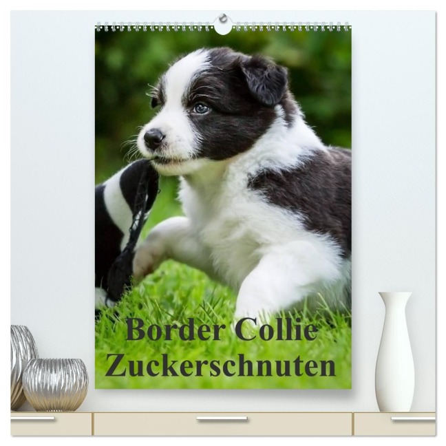Border Collie Zuckerschnuten (hochwertiger Premium Wandkalender 2026 DIN A2 hoch), Kunstdruck in Hochglanz - Andrea Mayer