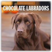 Cover-Bild zum Titel 'Chocolate Labrador Retrievers - Schokoladenbraune Labrador Retriever 2026 - 16-Monatskalender' von 'Robin Red'
