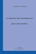 Cover-Bild zum Titel 'La grazia dei frammenti (poesia scelte 2000-2020)' von 'Domenico Cipriano'