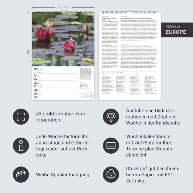 InsideView 13